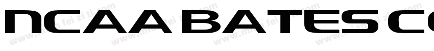NCAA Bates College B字体转换